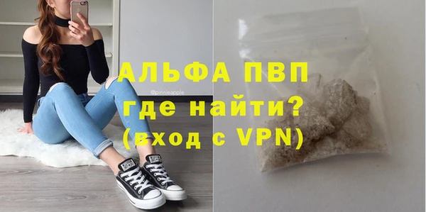 ПСИЛОЦИБИНОВЫЕ ГРИБЫ Коряжма