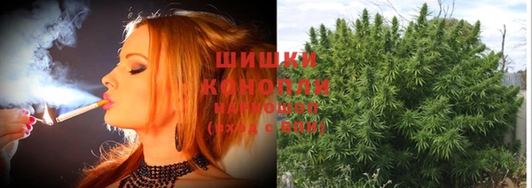 МДПВ Кодинск