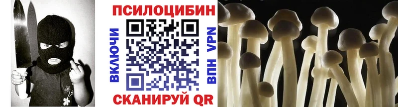 Псилоцибиновые грибы Psilocybine cubensis mega ONION Кизел